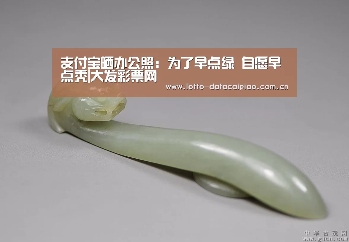 大发彩票网